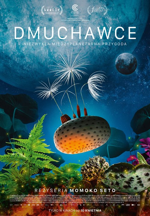 Dmuchawce 24.04 – 29.04